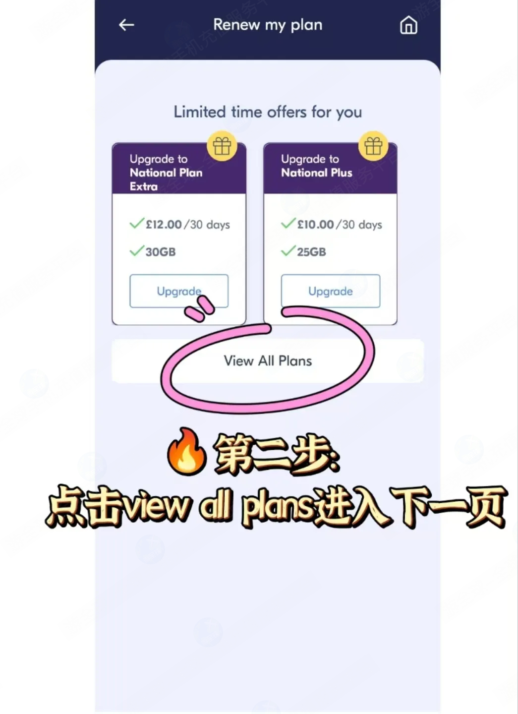 图片3