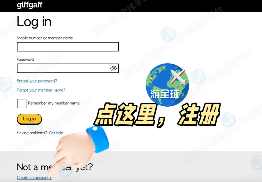 图片3