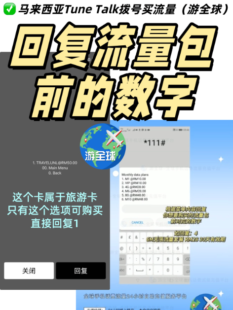 图片4