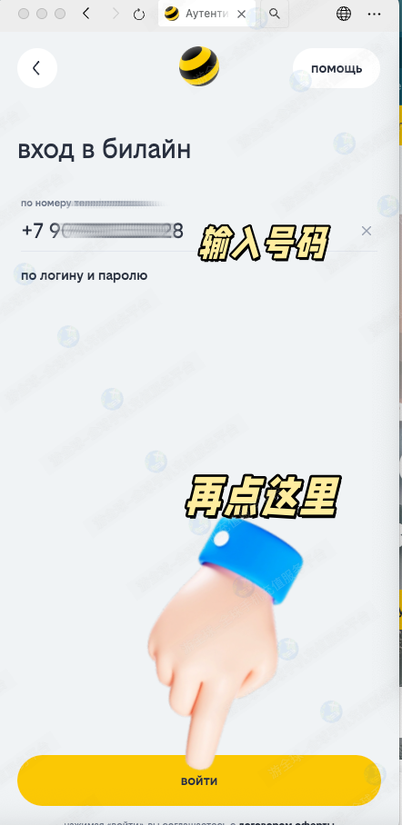 图片4
