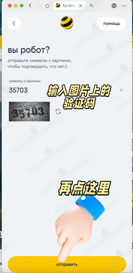 图片6